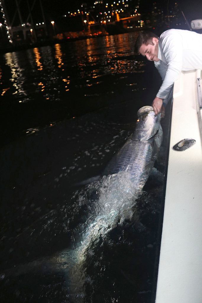 Strike Zone Media Boat Show Clients miami tarpon fishing report