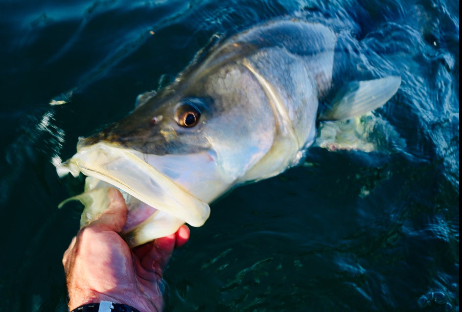 Better fishing days ahead