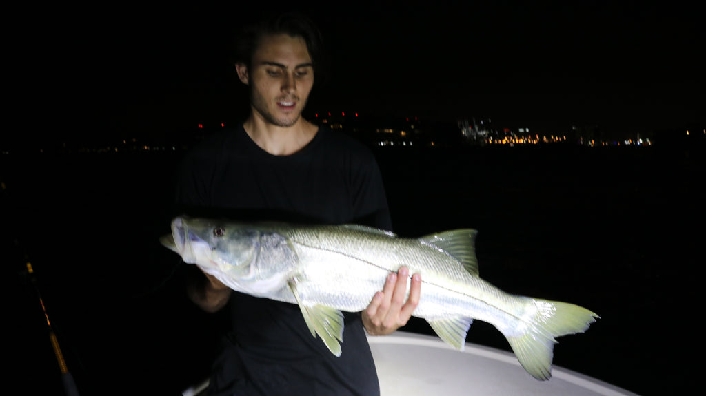 Tarpon and Snook Fishing Report Miami