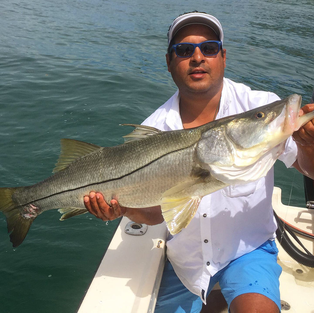 Great Summer Snook Adventure