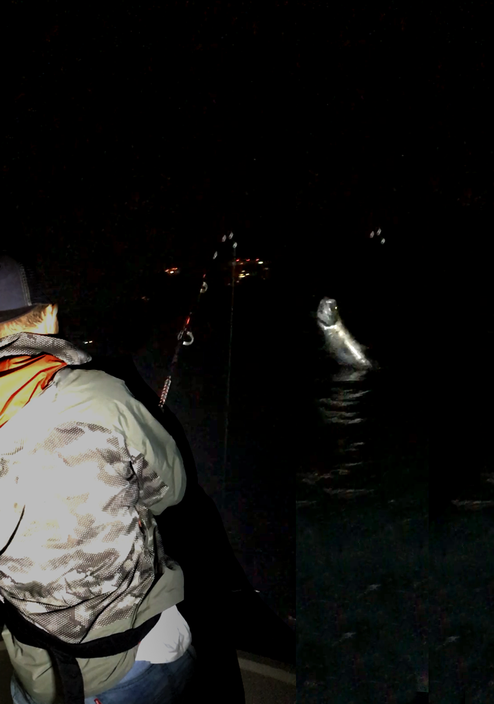 MONSTER 120 LB MIAMI TARPON FISHING THE SHRIMP HATCH 2019