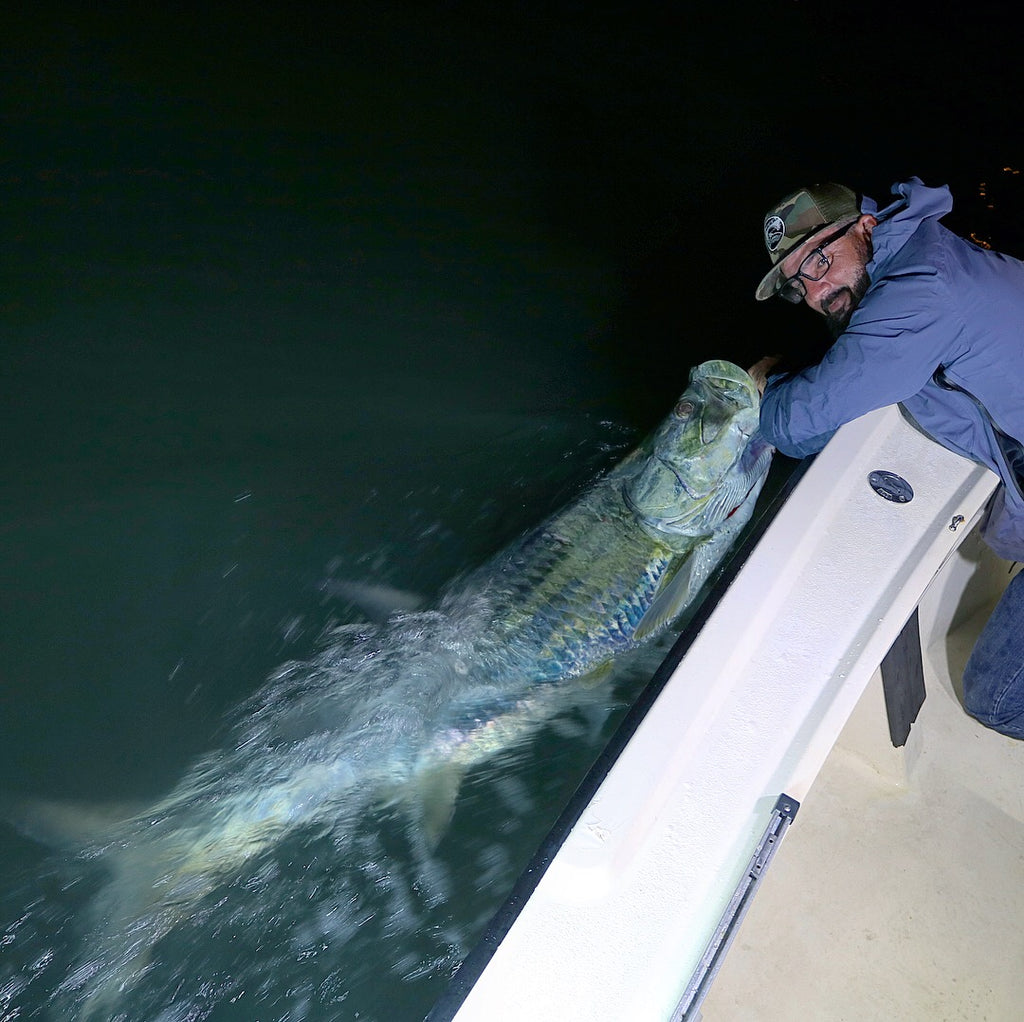 Miami Tarpon Fishing in Miami, Winter Tarpon Season is on Fire