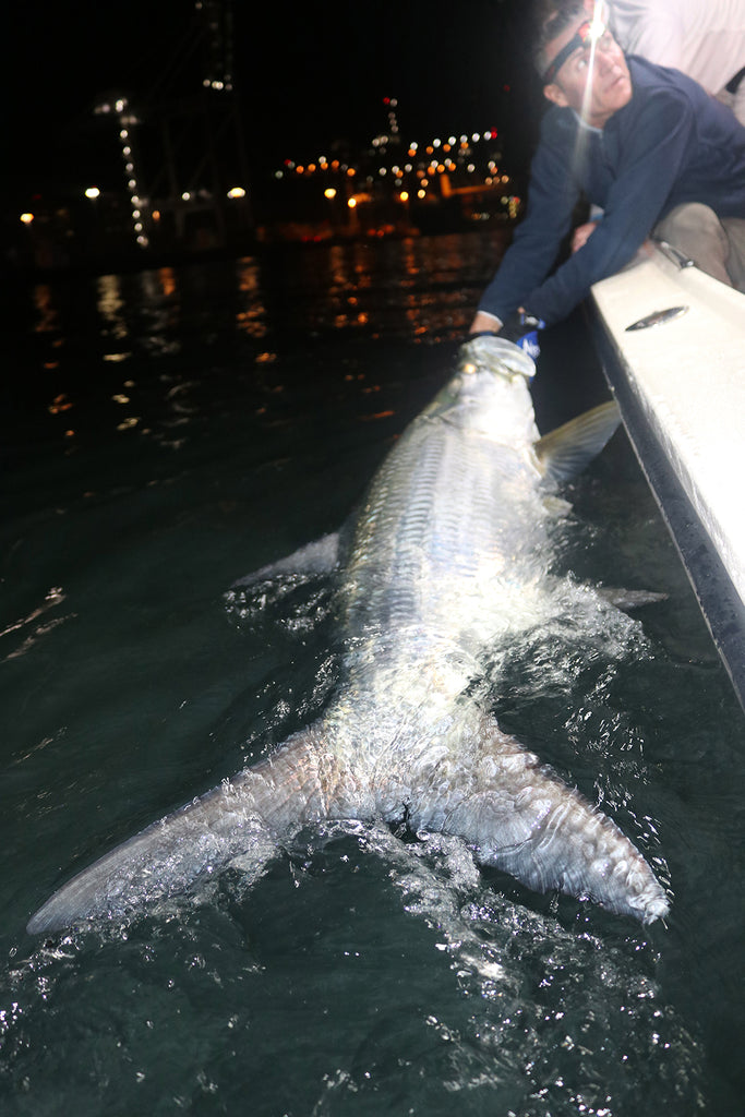 Chevron Techron Marine Tarpon Fishing in Miami