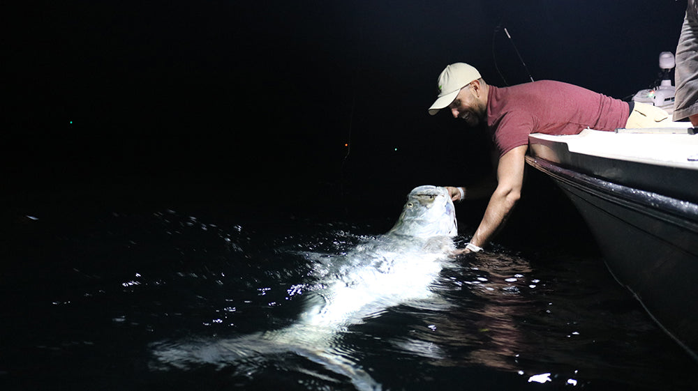 MIAMI MONSTER TARPON ON FLY