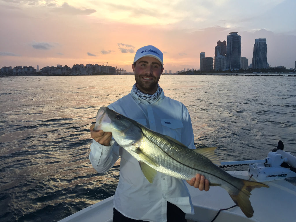 Miami Tarpon and Snook Fishing Report