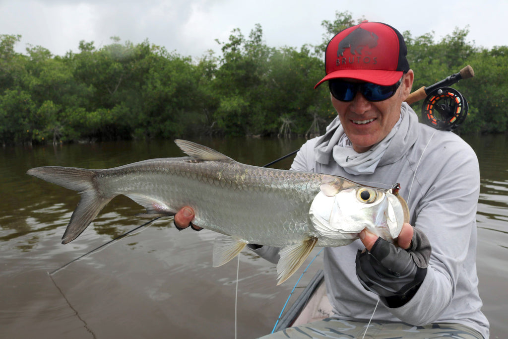 Everglades Tarpon and Snook Fishing in the Backcountry