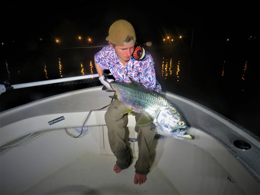 OMG Crazy Miami Baby Tarpon on Fly! - Dock Lights