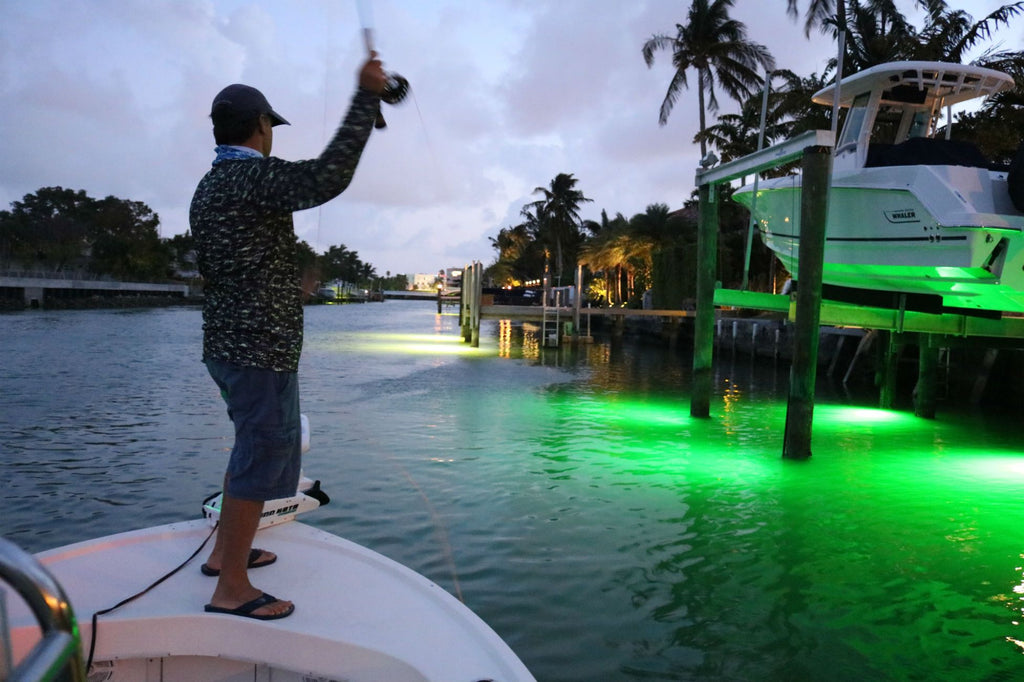 Sight Fishing Large Tarpon on Dock Lights