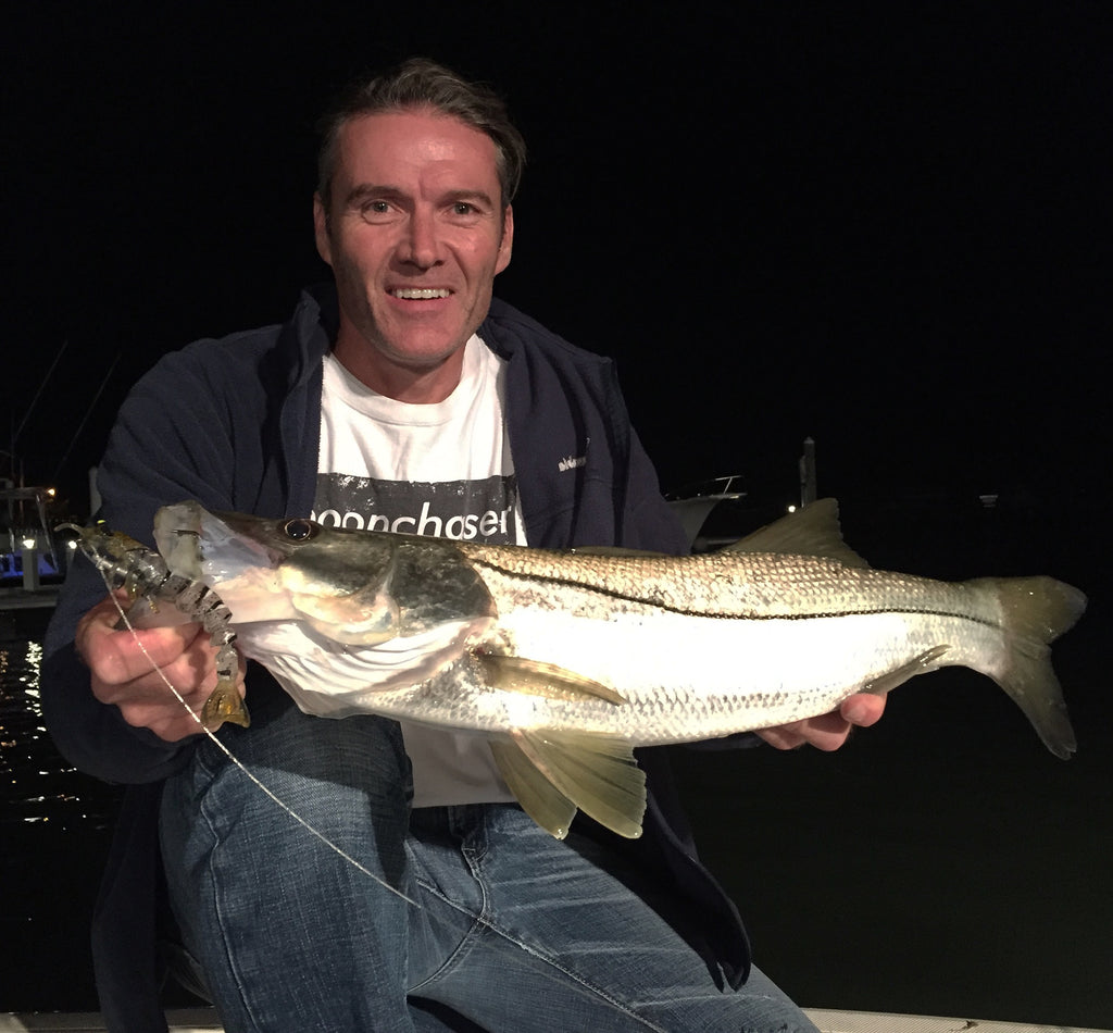 Snook Bite, Consistant