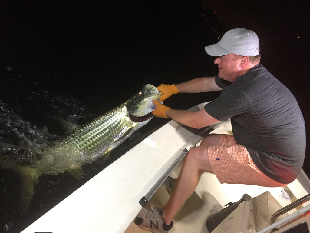 Another week of Great Tarpon and Snook Fishing