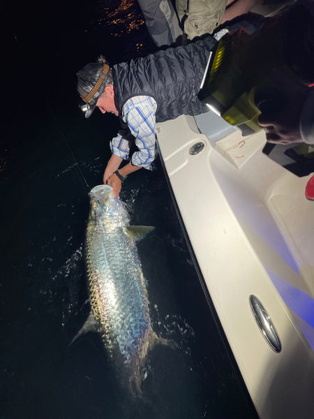 Miami Evening / Tarpon and Snook Fishing Charter