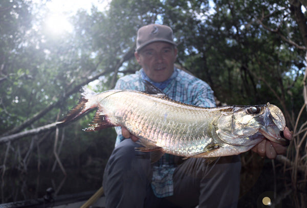 Tarpon and Snook Everglades City, Chokoloskee Eco Safari Adventure