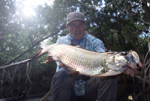 Tarpon and Snook Everglades City, Chokoloskee Eco Safari Adventure