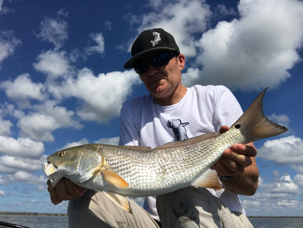 Tarpon and Snook Everglades City, Chokoloskee Eco Safari Adventure