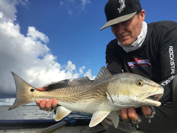 Tarpon and Snook Everglades City, Chokoloskee Eco Safari Adventure