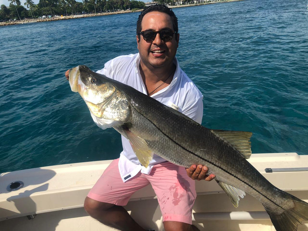 Monster Snook caught on Summer Snook fishing trips