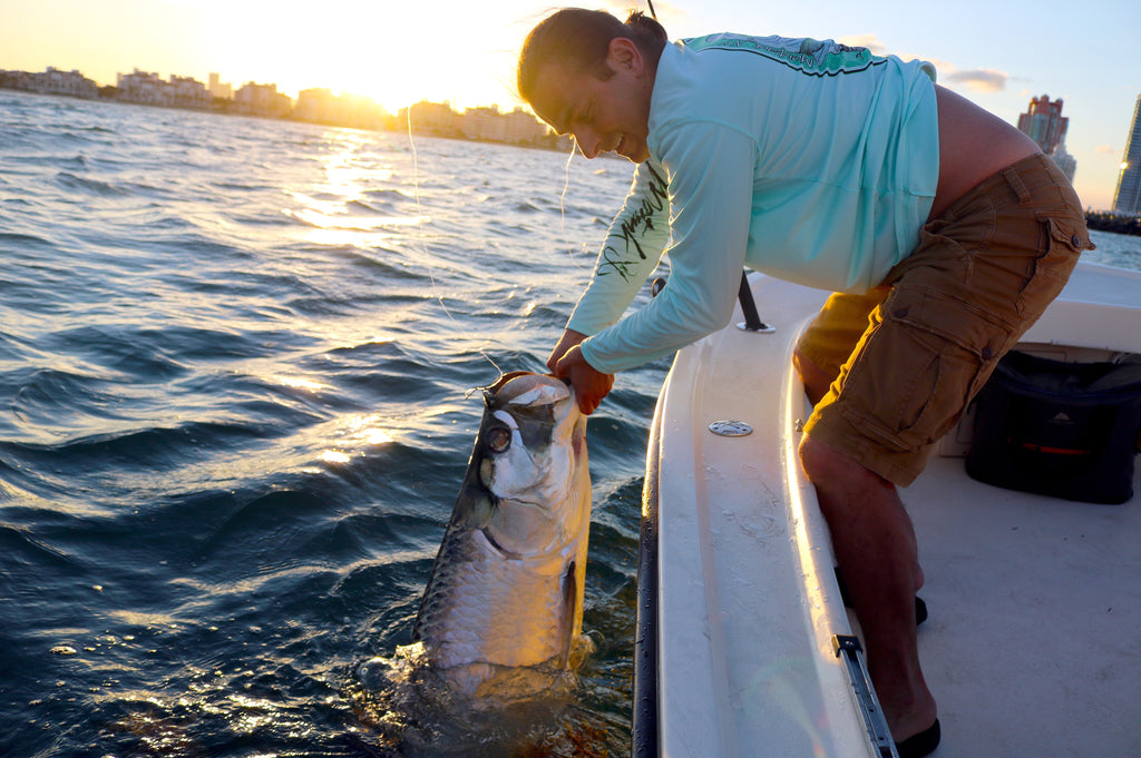Sunset Miami Tarpon fishing