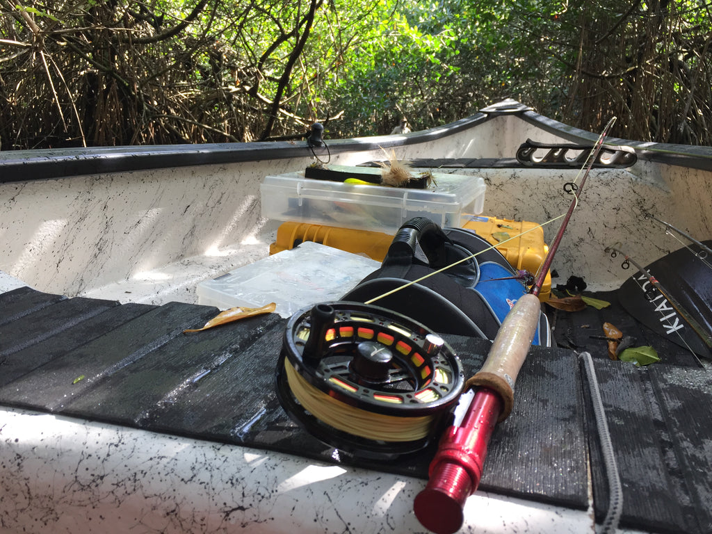 Everglades Tarpon and Snook fishing