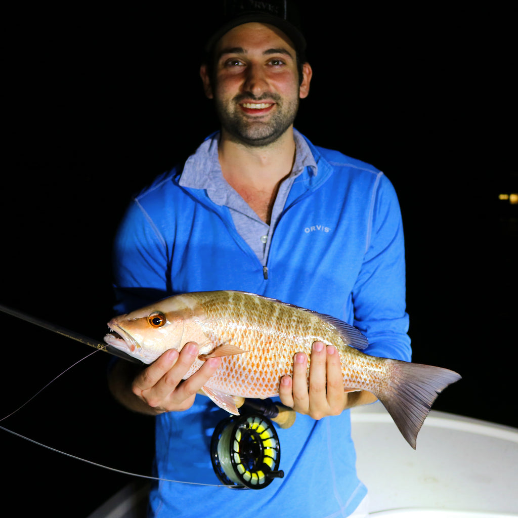 Miami Tarpon Fishing : Giant Mangove Snapper on Fly
