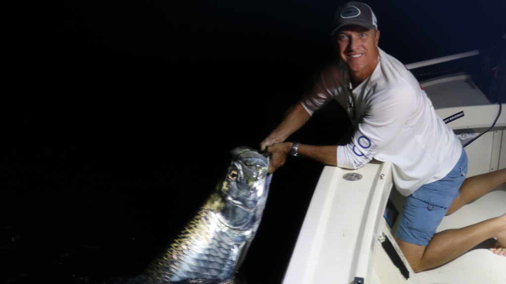 Tarpon Attcked by Sharks on fishing charter