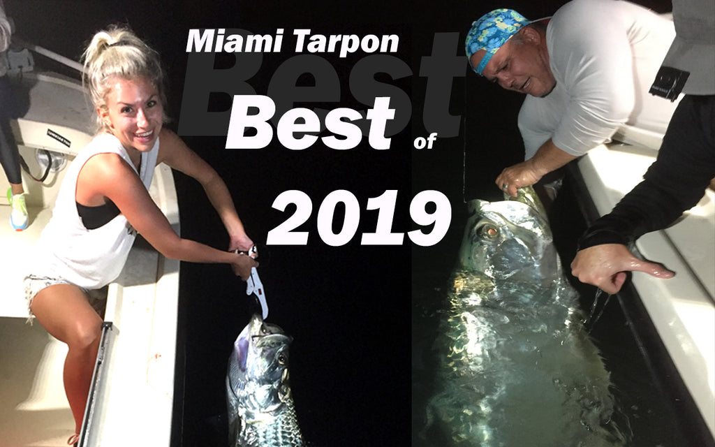 2019 Best Jumps and a Surprise bycatch when Miami Tarpon and Snook Fishing