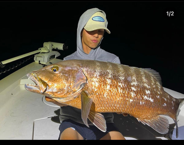 Miami Evening / Tarpon and Snook Fishing Charter